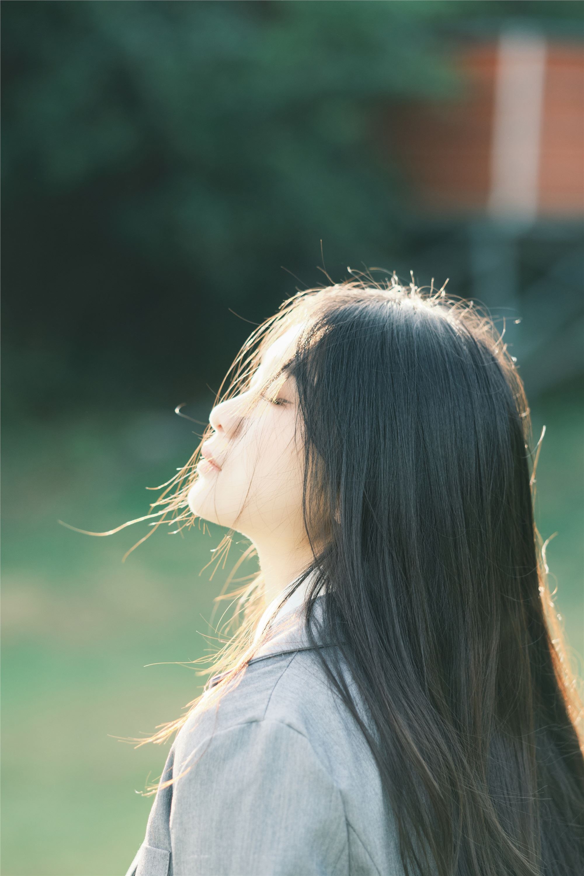 YITUYU艺图语 2025.01.06 草坪学院 一只狸猫